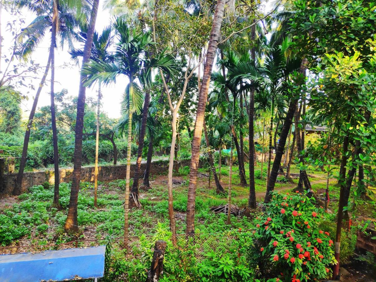 Ashish Baug Cottage อลีบาก ภายนอก รูปภาพ